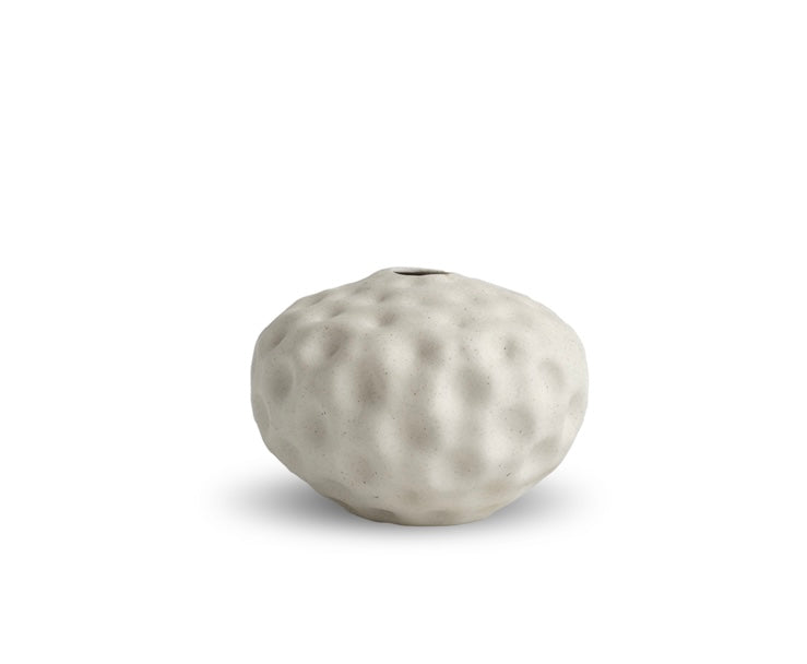 Seedpod small - Vanilla