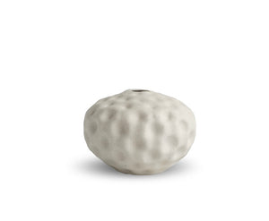 Seedpod small - Vanilla